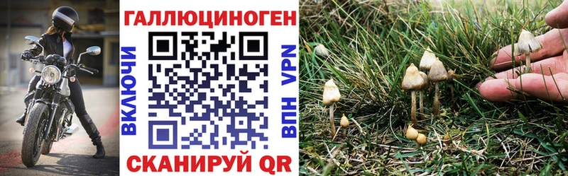 Псилоцибиновые грибы мухоморы  продажа наркотиков  Алексин 