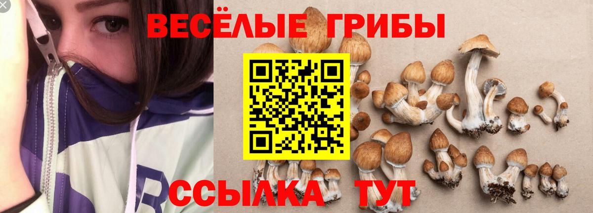 Алексин  Псилоцибиновые грибы мухоморы  Вход с VPN 