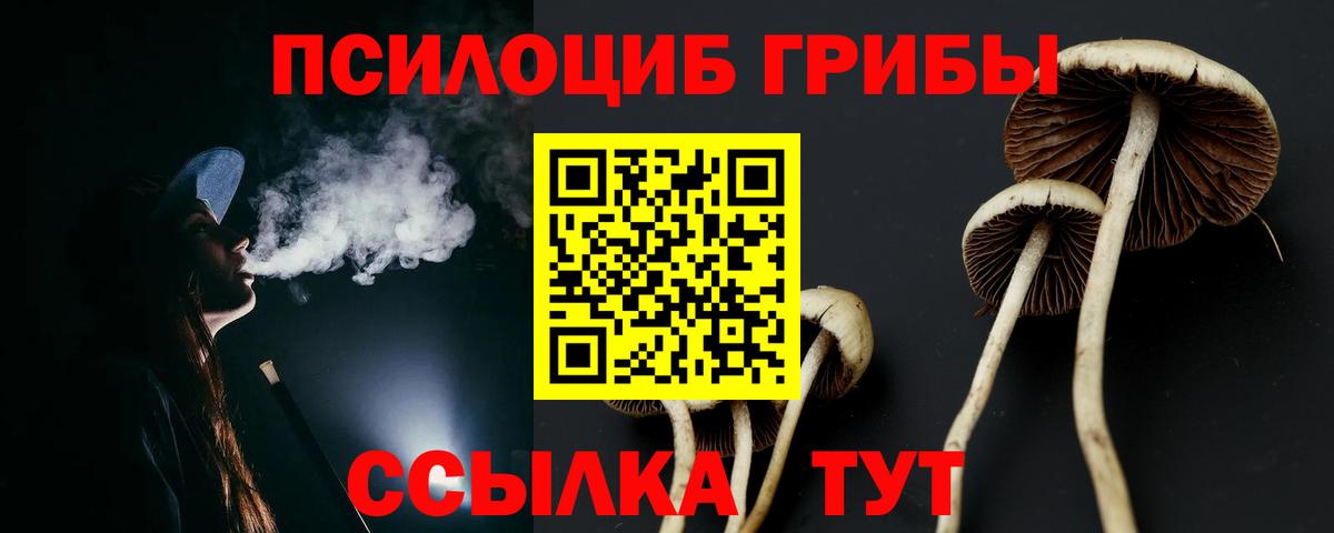 Галлюциногенные грибы Psilocybine cubensis Алексин