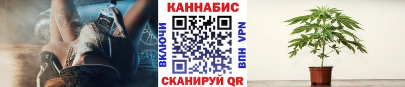 Бошки марихуана OG Kush  гидра ссылка  Алексин 